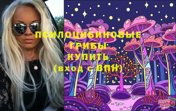 соль курить ск Нязепетровск