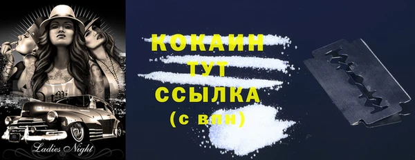 гашик Нягань