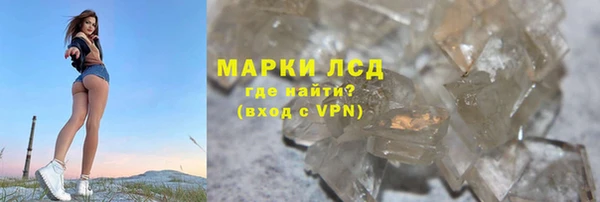 шишки Новокубанск