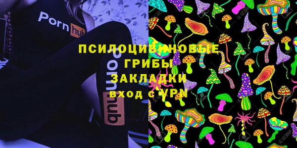 соль ск Нефтегорск