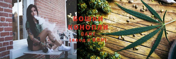 стафф Няндома