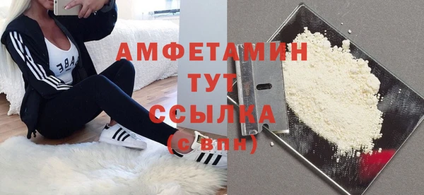 ГАЛЛЮЦИНОГЕННЫЕ ГРИБЫ Новозыбков