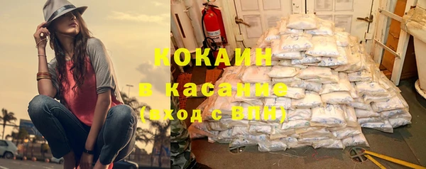 шишки Новокубанск