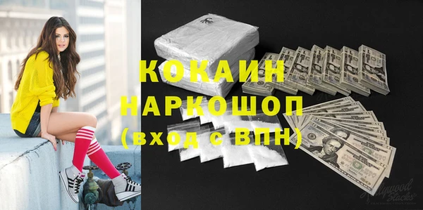 стафф Няндома