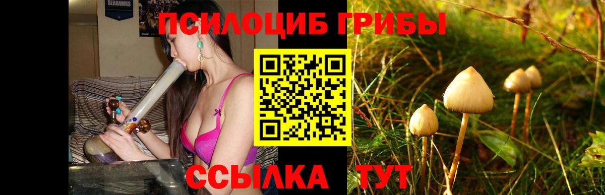 Кингисепп  Галлюциногенные грибы Magic Shrooms  Галлюциногенные грибы GOLDEN TEACHER  Вход с VPN 